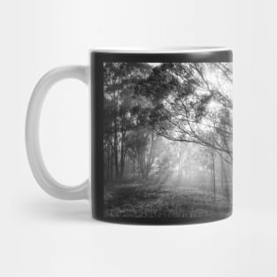 Foggy Morning Mug